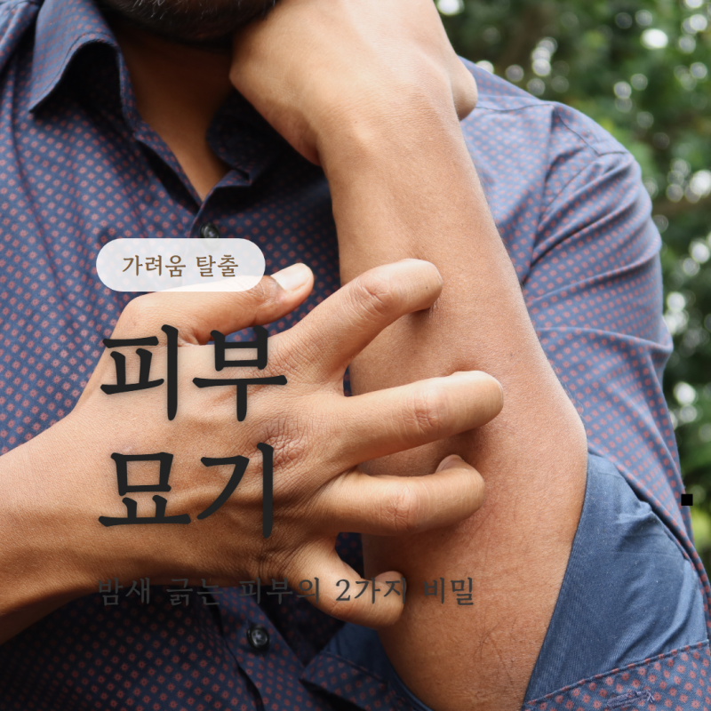피부묘기증원인, 밤마다 긁다 지친 당신이 놓친 2가지 속사정