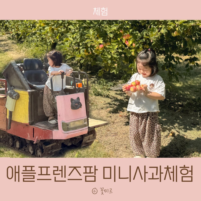 애플프렌즈팜 미니사과체험 사과따기 & 탱크체험 만족한 김포투어패스 후기