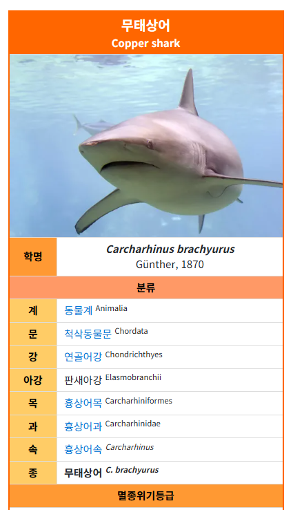무태상어 나무위키 실검 이유 총정리｜부산 북항에 3~4m 상어 출몰…대체 무슨 일?