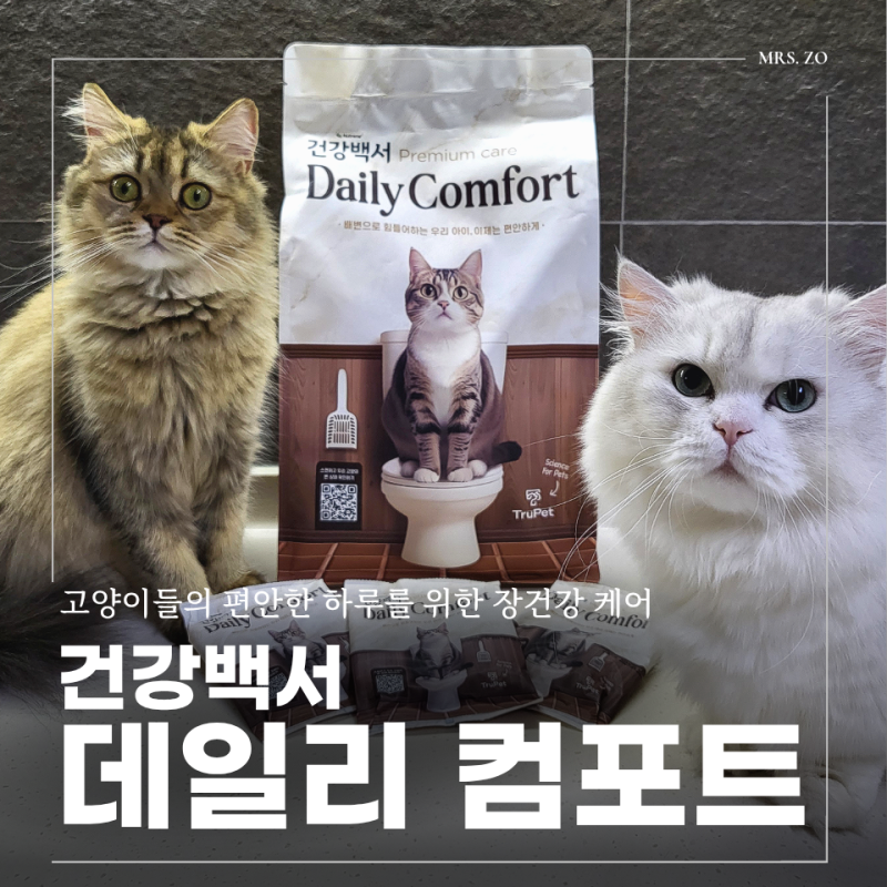 고양이 변비 사료 고민하다 정착한 건강백서 데일리컴포트