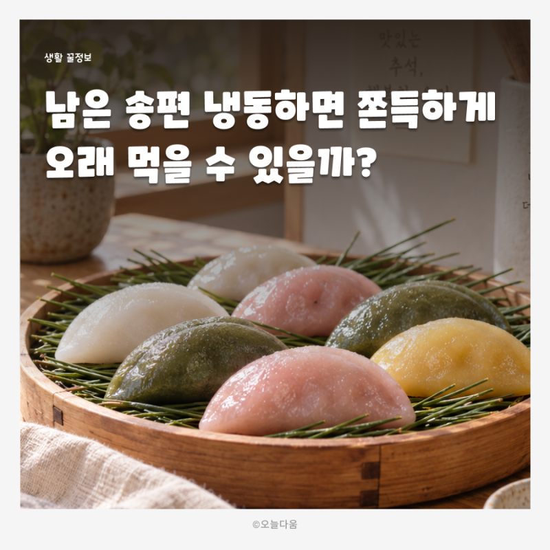 남은 송편 보관방법 총정리 실온 냉장 냉동 기간과 해동방법까지 매직랩 소분하기