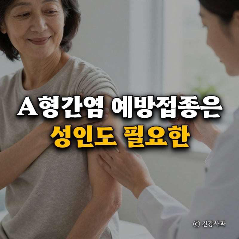 A형간염 예방접종은 성인도 필요한가요? 항체검사부터 관리법