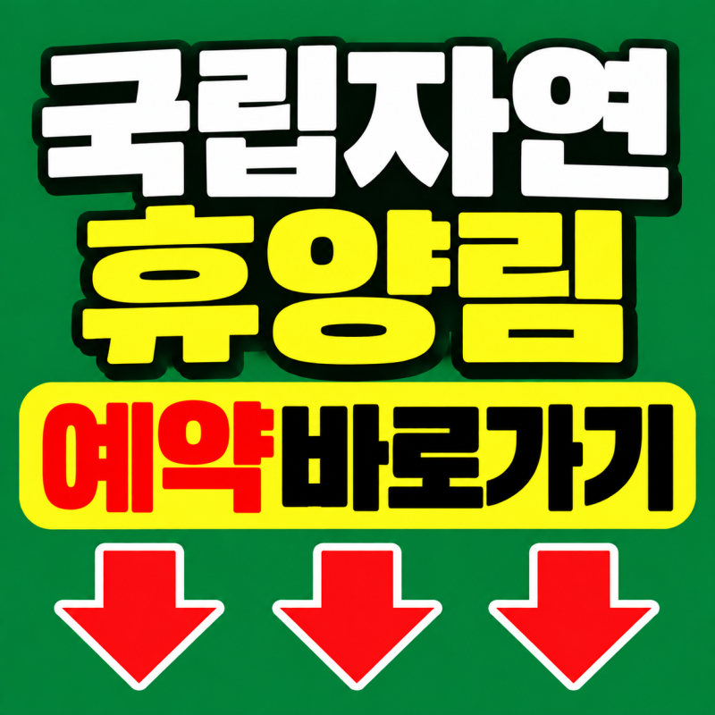 2026 국립자연휴양림 예약방법 총정리 (선착순·추첨예약)