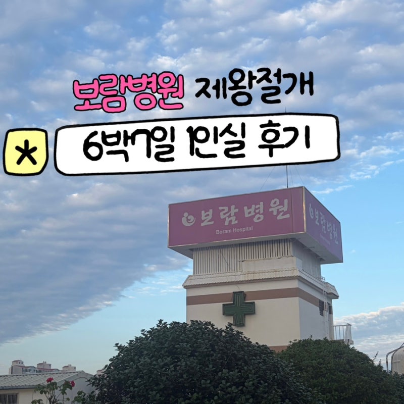 울산 보람병원 제왕절개 6박7일 1인실 리뷰 제왕절개 출산 후기(+수술 비용 보험료 환급)