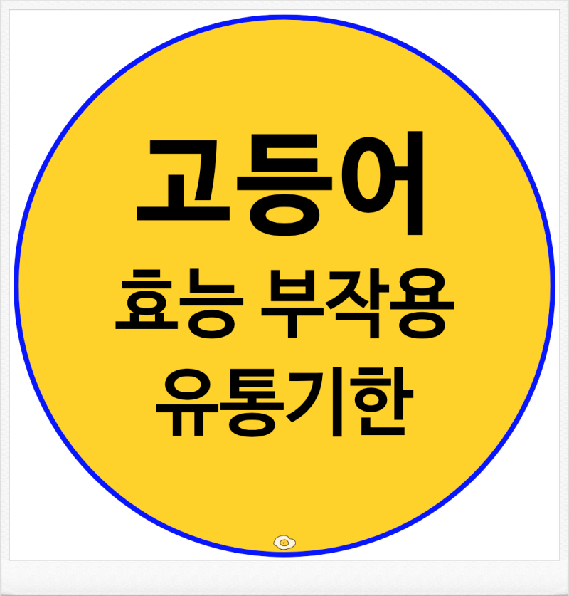 고등어 효능 부작용 먹는법 손질법 유통기한 총정리