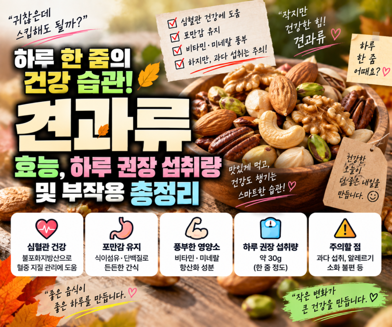 하루 한 줌의 건강 습관! 견과류 효능, 하루 권장 섭취량 및 부작용 총정리