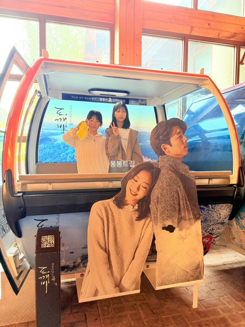 평창 발왕산 케이블카 가격 할인 애견동반 모나용평