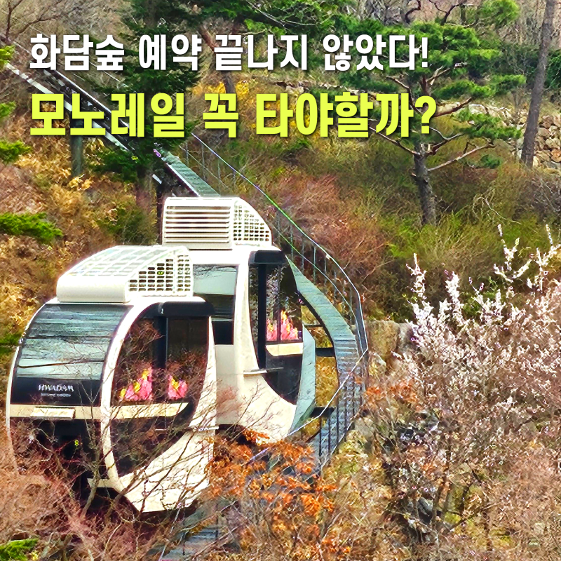 경기도 곤지암 화담숲 예약 안끝났다! 모노레일 꼭 타야할까?