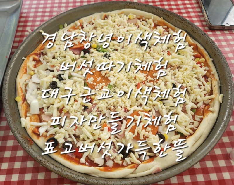 경남창녕이색체험 버섯따기체험 대구근교이색체험 피자만들기체험 표고버섯가득한뜰