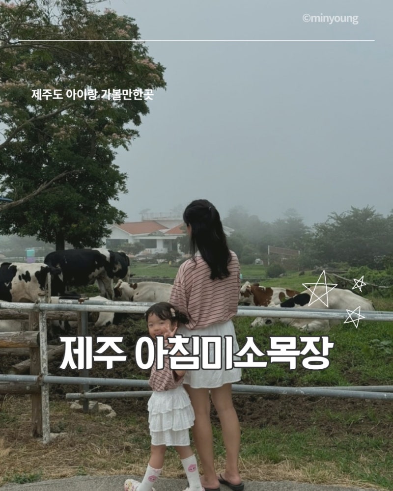 [제주도] 제주 동쪽 아이와 가볼만한곳 / 제주도 목장 체험 아침미소목장