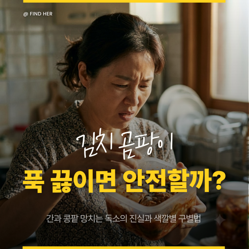 김치 곰팡이, 끓여 먹으면 안전하다? 간과 콩팥 망치는 치명적 독소의 진실과 색깔별 대처법 ....