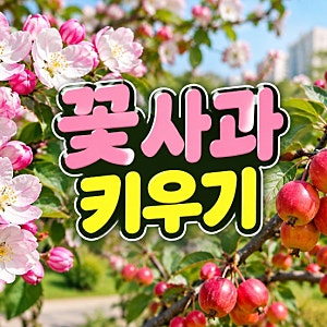 가을 보석 꽃사과 먹을 수 있을까? 개화시기 수확 시기 효능 용도 총정리