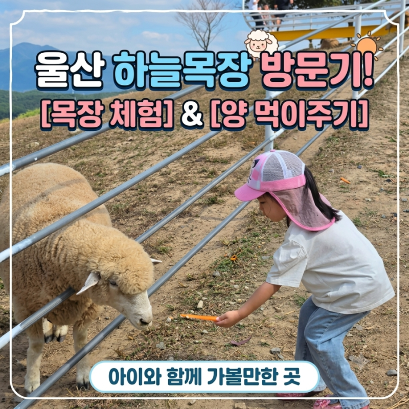 [아이랑 주말에 뭐하지?] 부산에서 가까운 울산 하늘목장