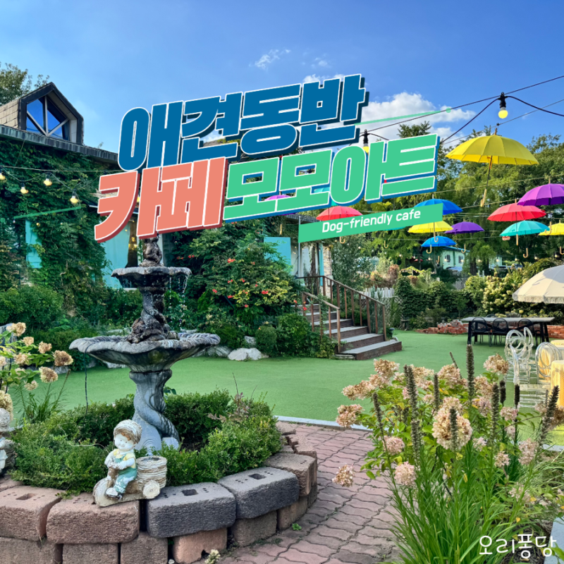 인천애견동반카페 모모아트 솔직후기