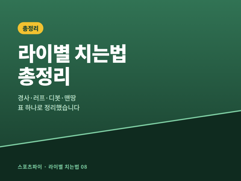 골프 라이별 공 치는법 총정리ㅣ경사·러프·디봇·맨땅 한 표로 정리