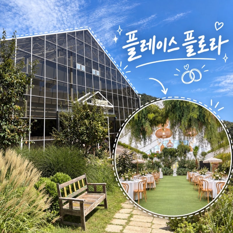 대전 유리온실 웨딩 플레이스 플로라 하객 후기｜뷔페·주차장 총정리