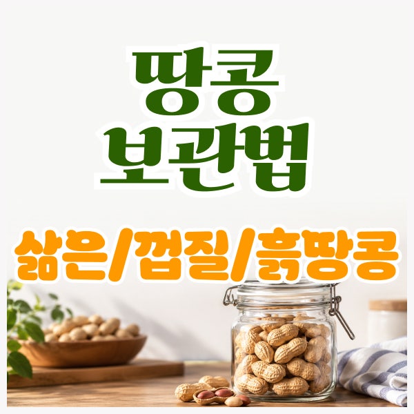 땅콩 보관법 총정리, 냉동·삶은 땅콩·껍질땅콩·흙땅콩 보관법
