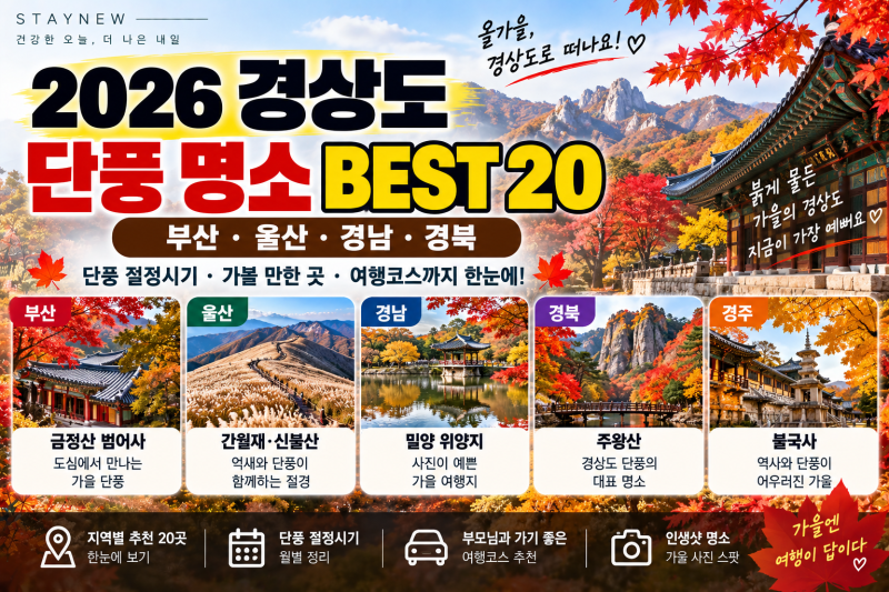 2026 경상도 단풍 명소 BEST 20부산·울산·경남·경북 단풍 절정시기와 부모님 여행코스 총정리