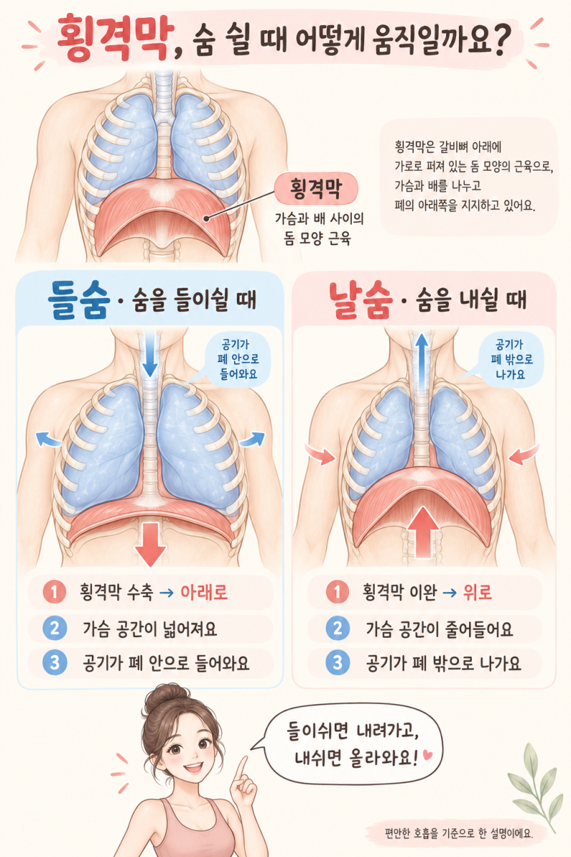 [체형교정]출산 후 늘어난 흉곽! 갈비뼈가 벌어졌어요.
