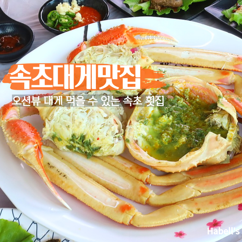 속초 횟집 장사항 근처 속초 대게 맛집