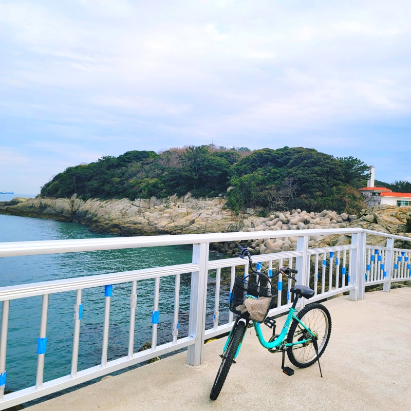 麗水梧桐島を自転車で一周 所要時間、ツバキの時期、旅行コース