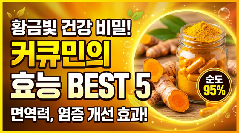 2026 커큐민 효능 5가지 및 부작용 총정리! 관절염·항염 영양제 추천