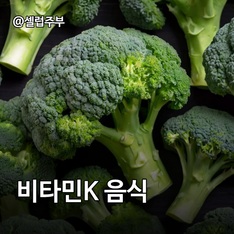 비타민K2 vs 비타민K 종류와 섭취방법 음식