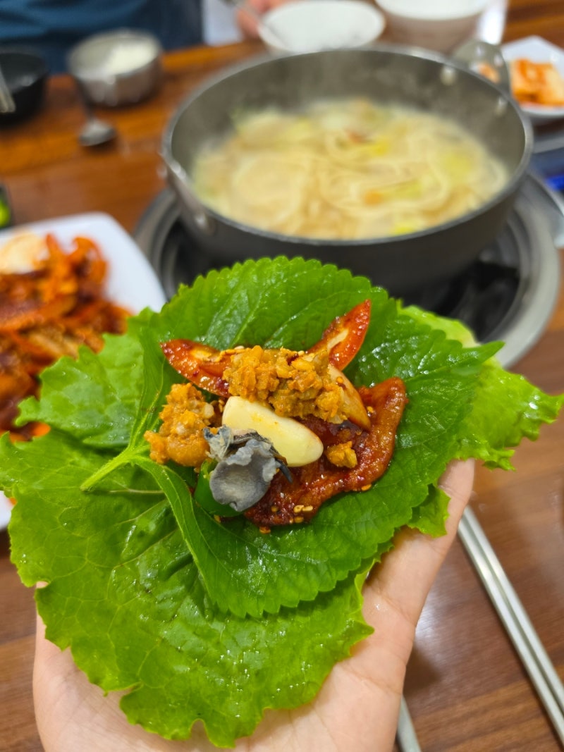[경기 광주] 확신의 화담숲 맛집 '이배재 직화쌈밥' 곤지암점 6년째 찐단골 베짱이가 강력 추....