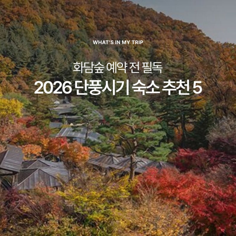 2026 단풍시기 화담숲 예약 전 알아보는 화담숲 숙소 BEST 5 비교 (곤지암리조트, 이레펜션, 미....