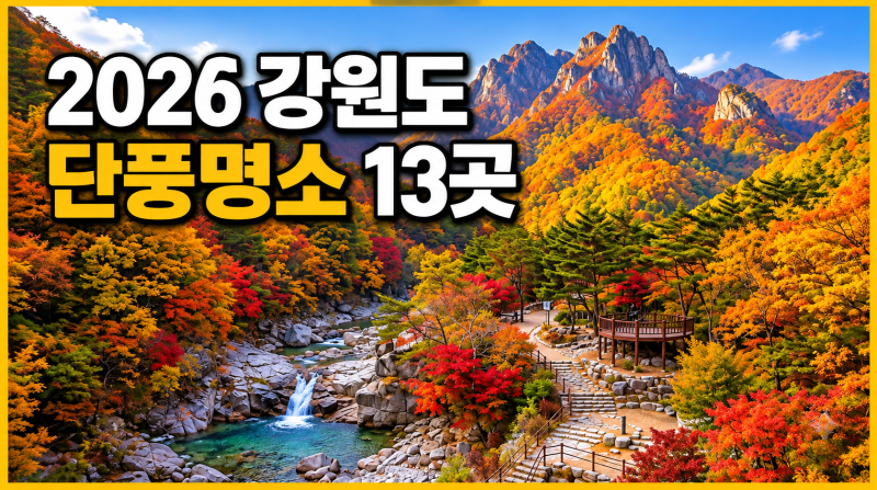 2026 강원도 단풍 명소 13곳, 절정 시기·예약·셔틀까지 정리
