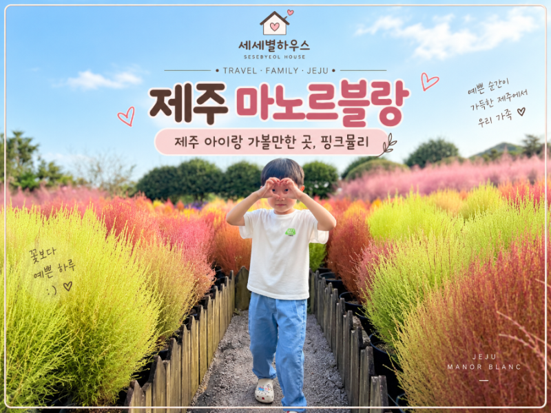 濟州島粉黛亂子草：適合帶孩子去的Manor Blanc