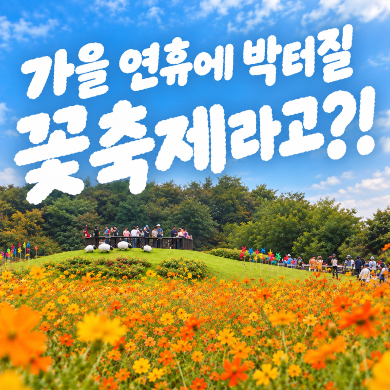 양주 천일홍 축제 2026 개화상태 언제 방문해야 볼만할까?