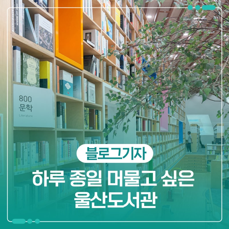 울산 가볼 만한 곳 울산도서관, 하루 종일 머물고 싶은 공간