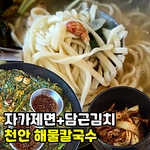 천안 백석동 종합운동장 맛집 궁전해물칼국수 내돈내산 후기