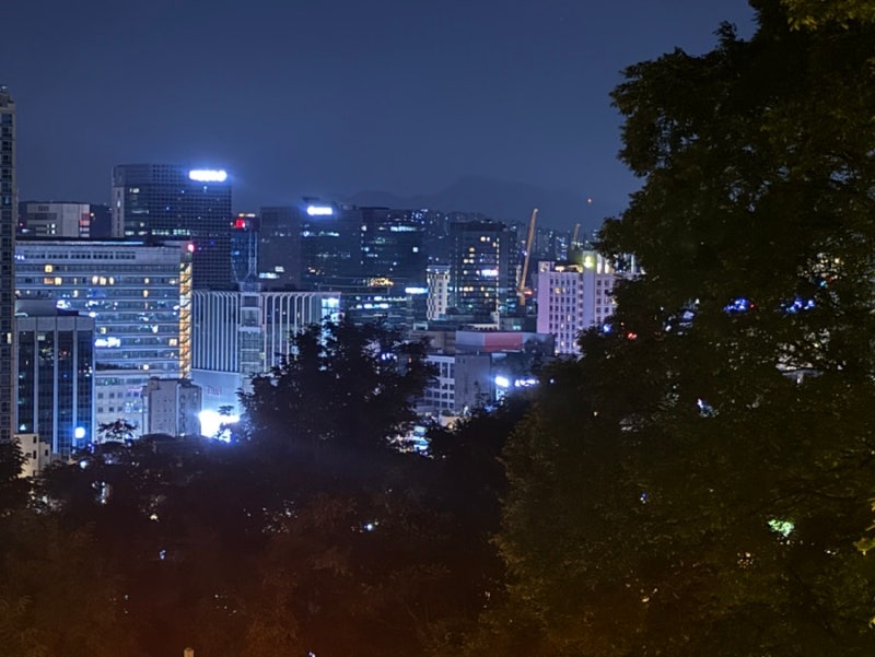 [서울 야간데이트] 새벽 1시 남산타워 다녀온 후기 (남산도서관 주차·도보·야경)