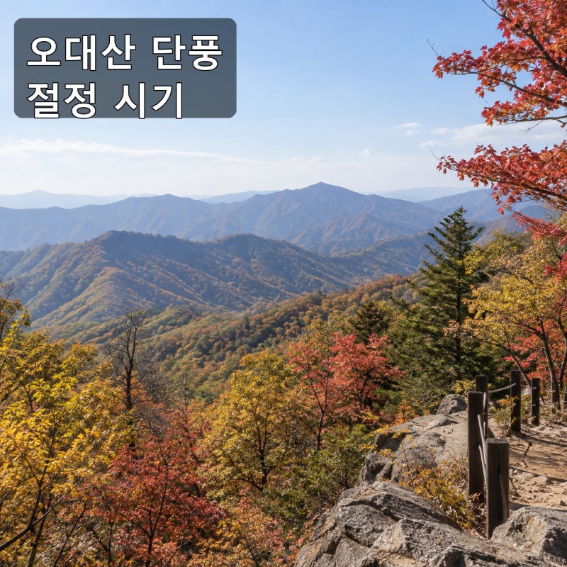 오대산 단풍 절정 시기 2026 월정사 선재길 언제가 좋을까
