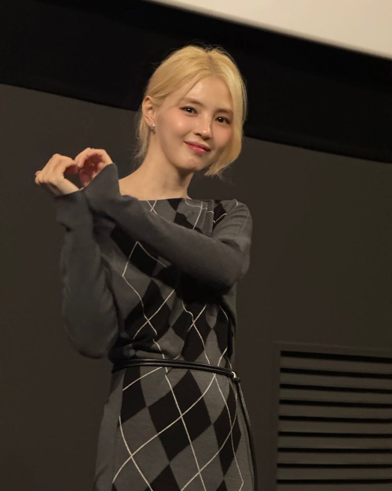 한소희 영화 인턴 무대인사 속 패션 아가일 니트 탑 옷 정보 알아보기! / @오버듀플레어 (OVERDU....