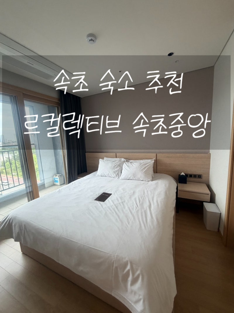 [속초] 속초 가족여행 숙소 르컬렉티브 속초중앙 패밀리 투룸 후기