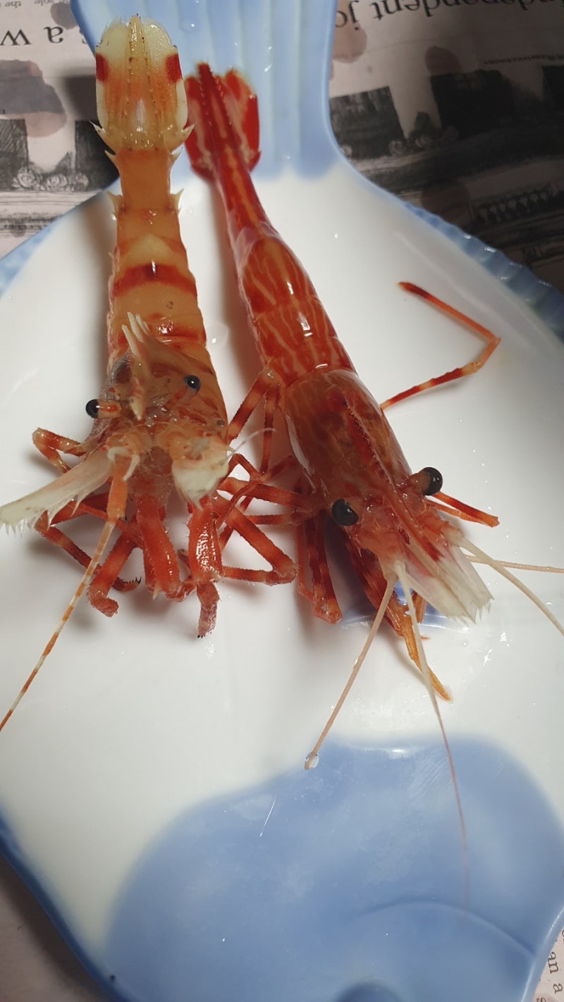 지민수산 새우 3종 포장