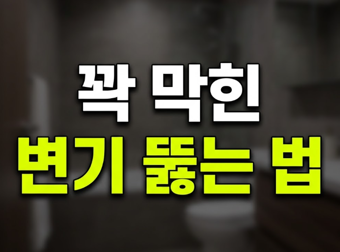 막힌 변기 뚫는법 총정리, 뚫어뻥 없이 페트병으로도 뚫리는 이유