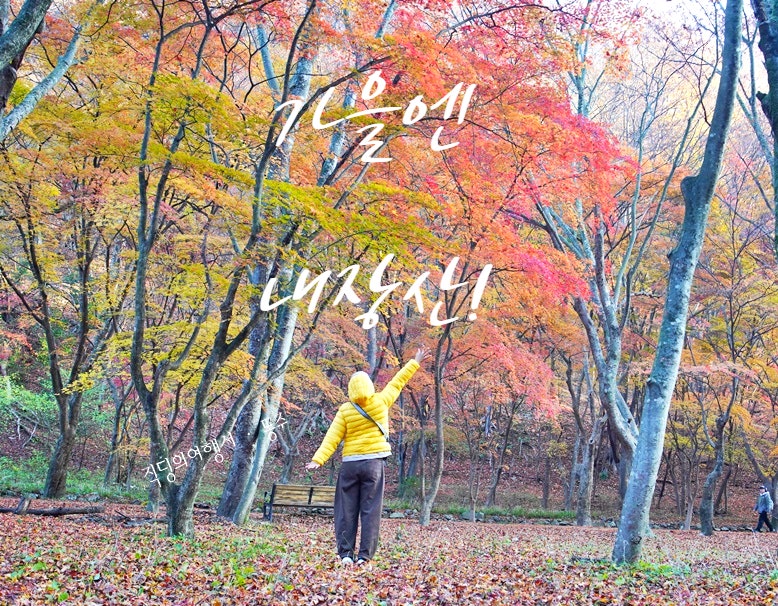 가을단풍명소 추천 정읍 내장산 케이블카 내장사 주차장 정리