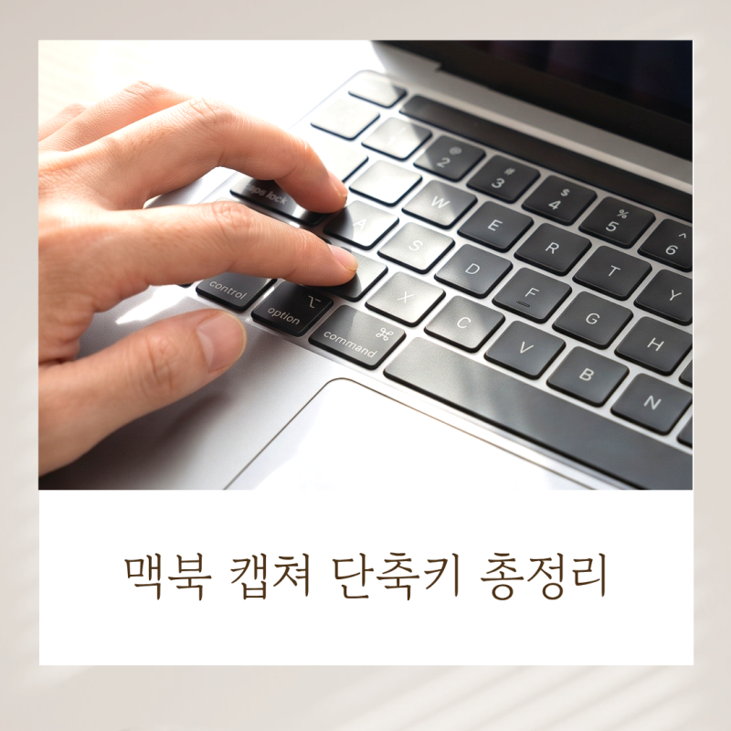 맥북 캡쳐 단축키 총정리 : 전체 화면부터 부분 영역 캡처까지