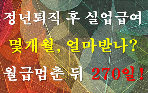 정년퇴직 후 실업급여 몇 개월·얼마 받나｜월급이 멈춘 뒤 270일을 잇는 법
