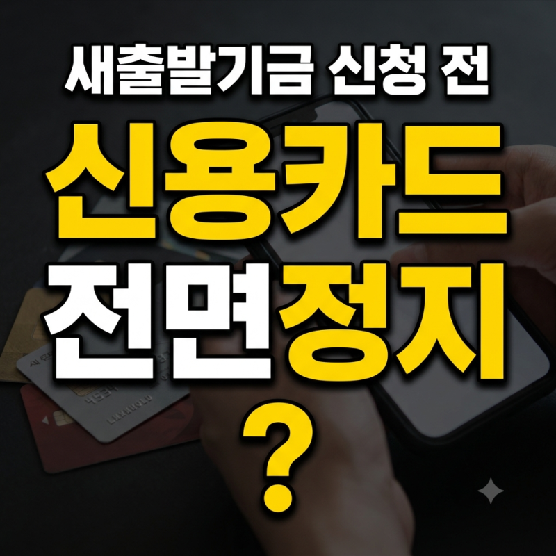 새출발기금 신청하면 신용카드 바로 정지될까? 직접 확인한 이용 제한 기준
