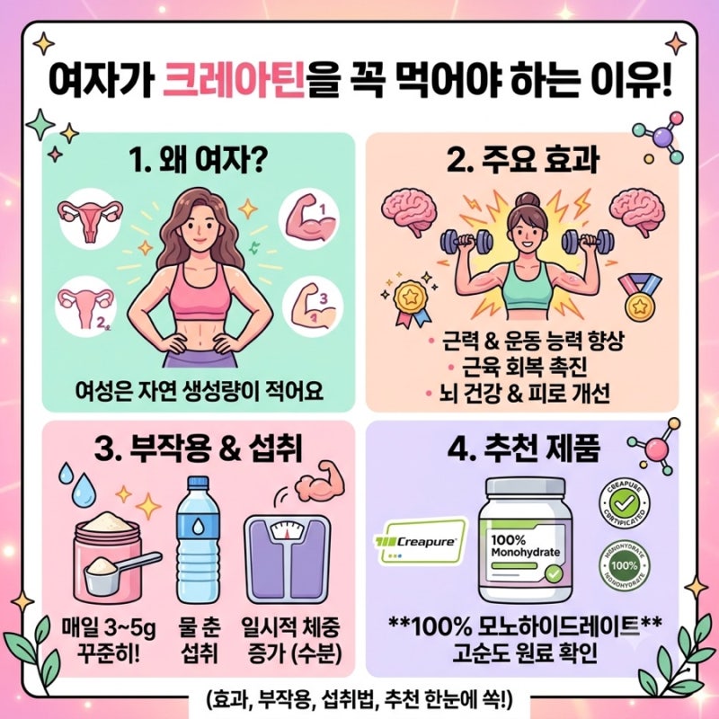 여자가 꼭 먹어야 하는 크레아틴: 효과, 부작용, 섭취법 및 추천 제품 가이드