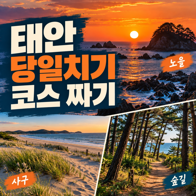 태안 가볼만한곳 당일치기 코스 짜는 방법 4단계