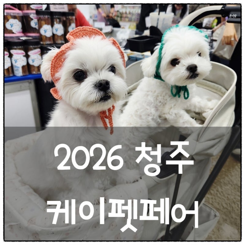 2026 케이펫페어 청주 시즌2 사전등록 10월 개최! 청주 오스코 반려동물 박람회 꿀팁