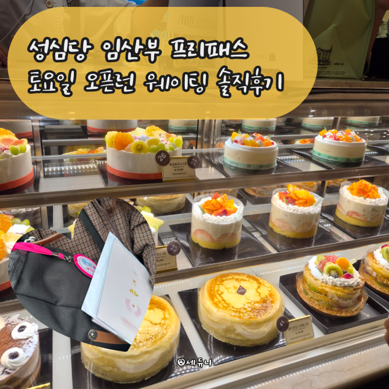 초기 임산부 기차 타고 성심당 주말 오픈런 웨이팅, 빵냉장고 후기