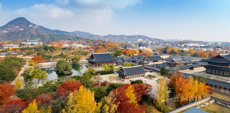 서울 고궁(경복궁,창경궁,덕수궁,창덕궁) 및 종묘 나들이 무료 입장 혜택과 관람 팁 총정리(....