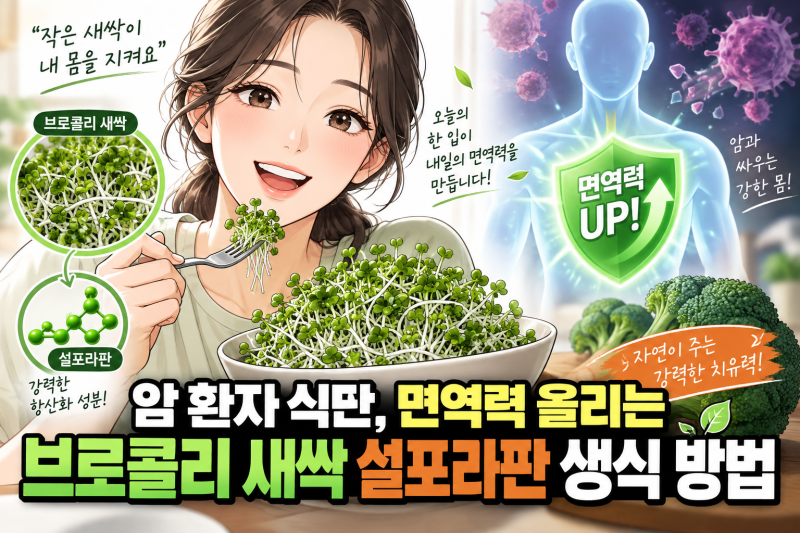 암환자 면역력 5배 올리는 브로콜리새싹 설포라판 생식 효과와 복용법